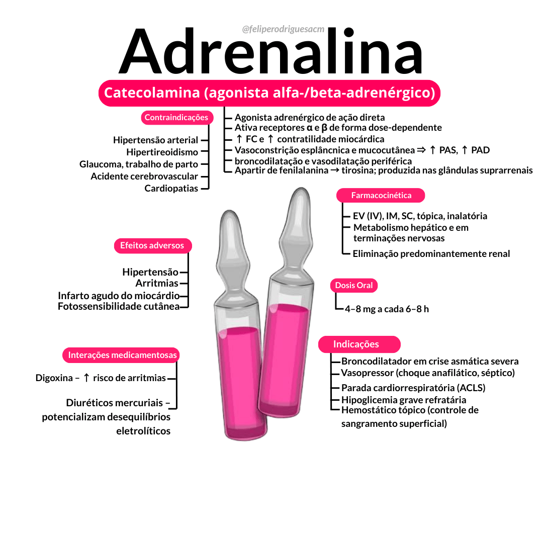 [Mapa Mental Adrenalina]