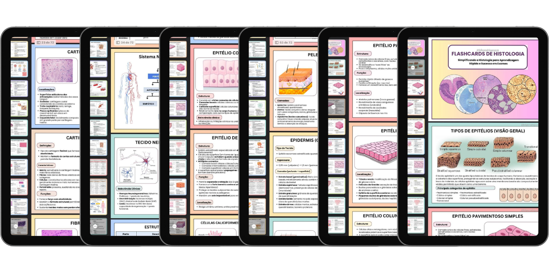 Flashcards de Histologia