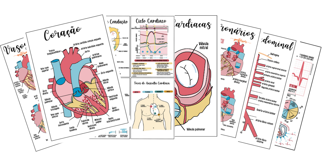 Anatomia Cardíaca e ECG