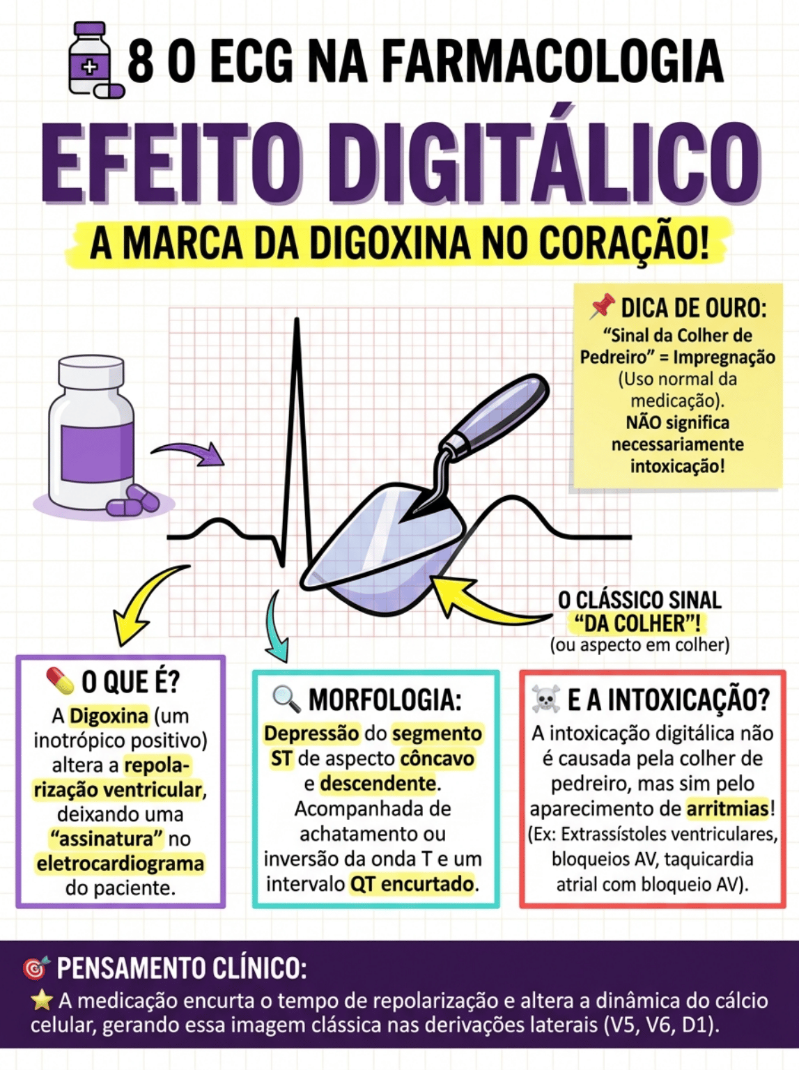 Conteúdo 3