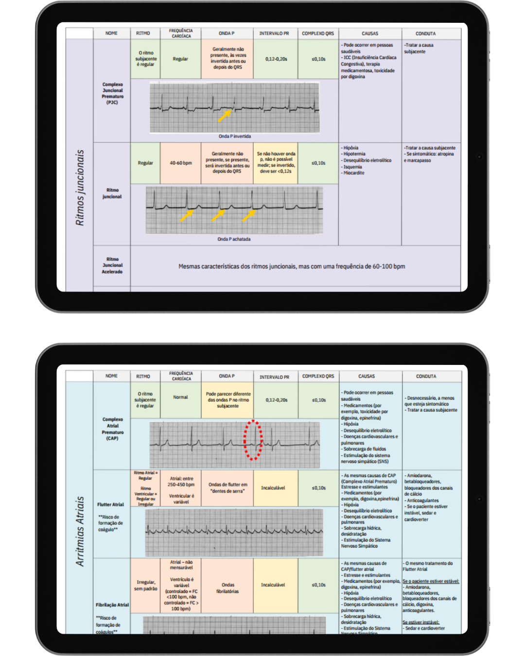 Conteúdo do Material 3