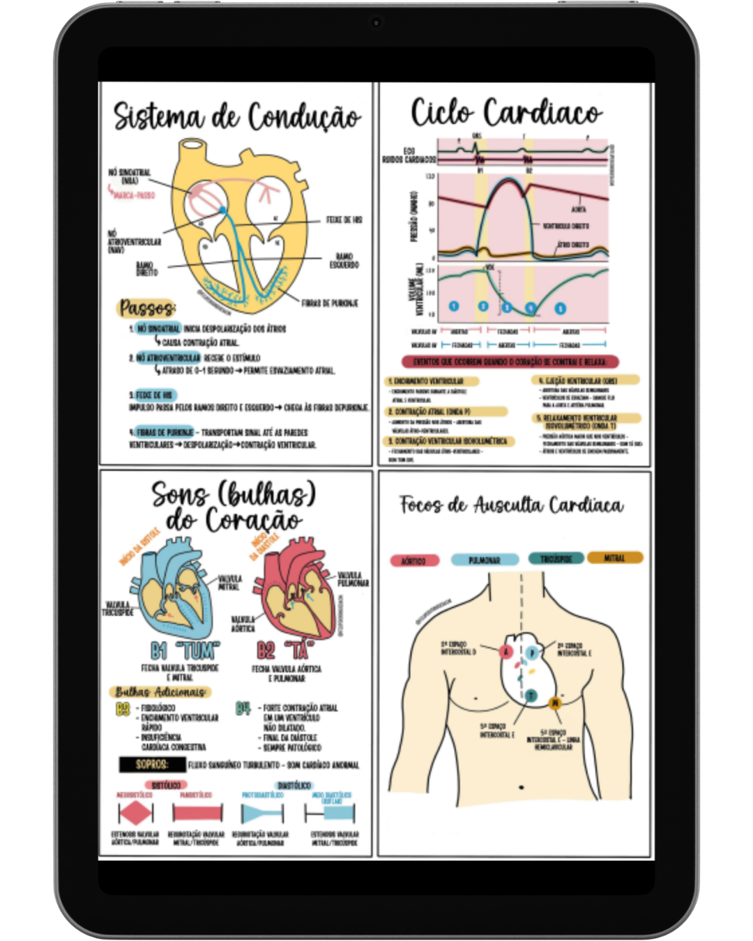 Conteúdo do Material 5