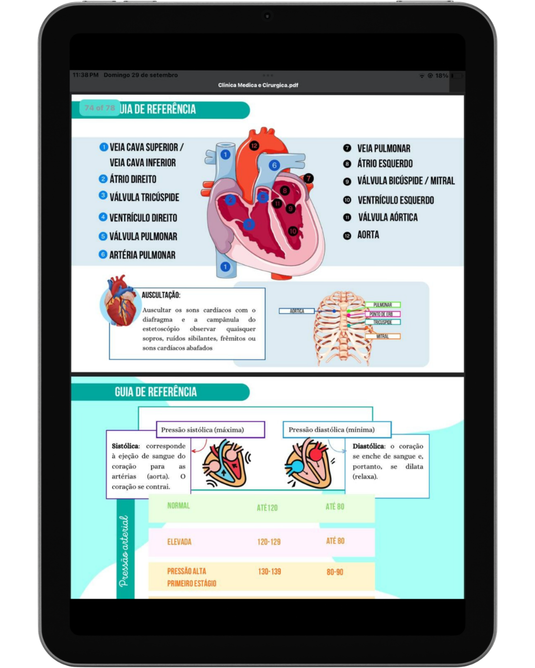 Conteúdo do Material 7