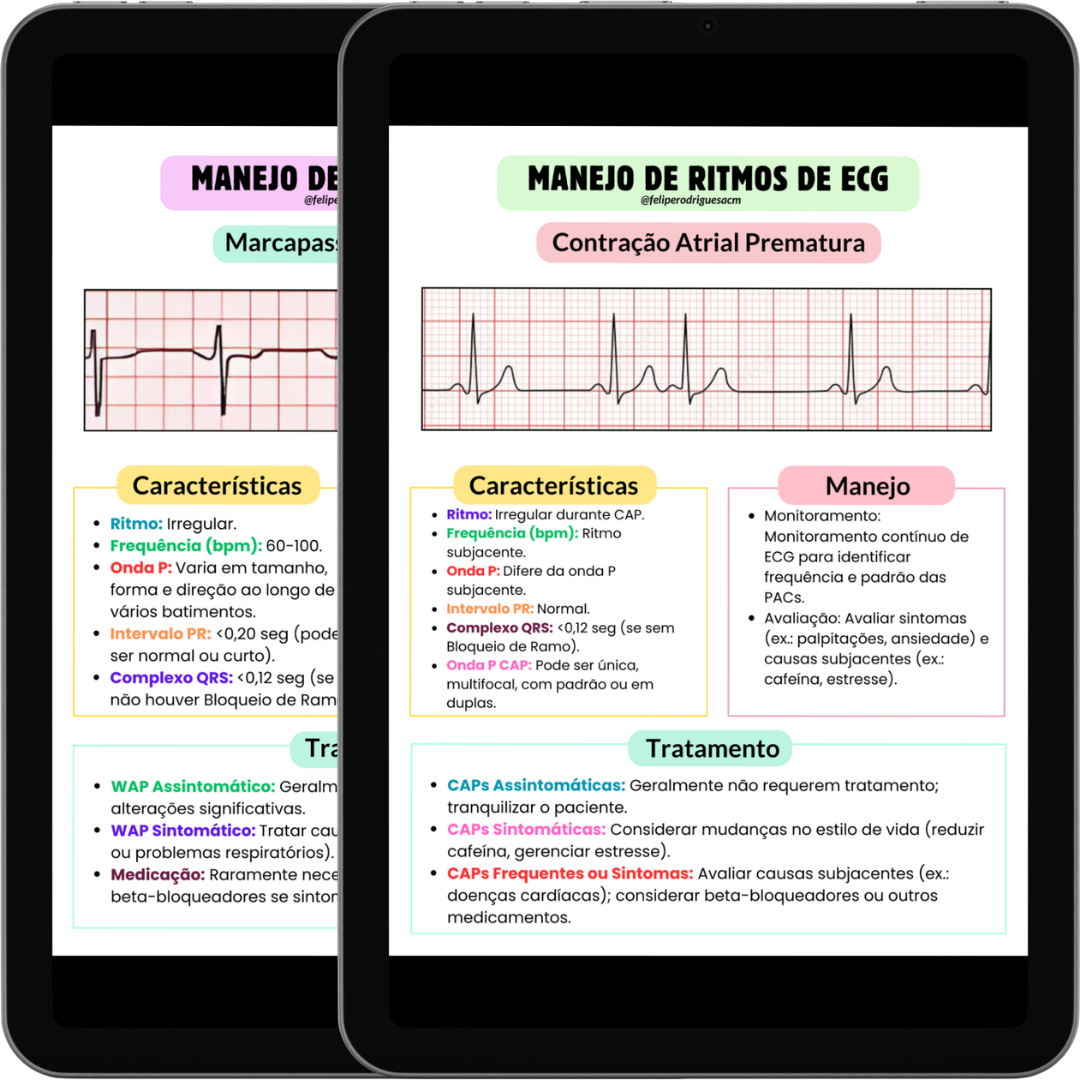 Mapa ECG 2